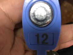 -翡翠湖迎宾馆·游泳馆