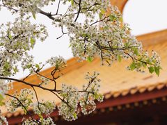 -石室禅院