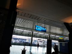 -奥利弗·雷金纳德·坦博国际机场