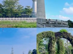 -中澳友谊花园