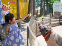 -前小桔亲子创意农场·草莓采摘·露营烧烤