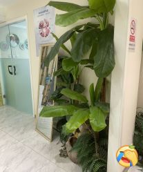 -健身堂科技美肌SPA