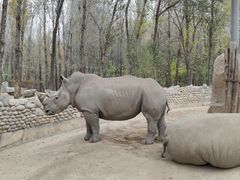 -北京野生动物园