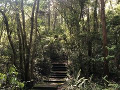 -武夷山风景名胜区-虎啸岩