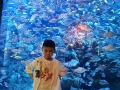 -成都浩海立方海洋公园