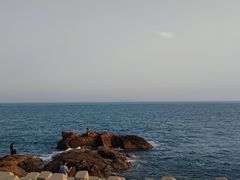 -燕儿岛山公园