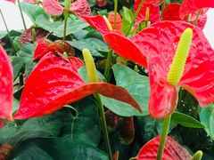 店内环境-光启城时尚购物中心