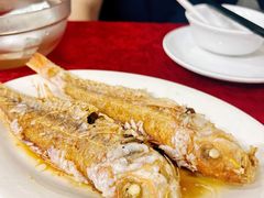 -蛇口康乐快餐鱼仔档(翠苑小区店)