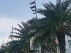 -荔园小馆(园岭新村二期店)