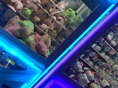 -天空之城游乐体验世界(义乌之心店)