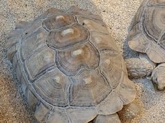 -波塞冬旅游度假区