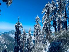 -瓦屋山景区