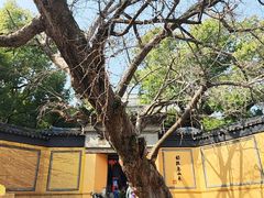 -无锡惠山寺