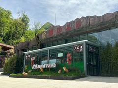 -栾川竹海野生动物园