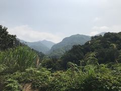 -广州市石门国家森林公园