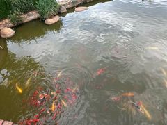 -月牙潭公园