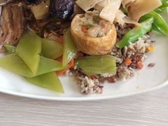 -菩提素健康自助素食馆