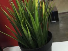 -DEKA大咔摄影·企业形象照·商务形象照拍摄(番禺南村万博店)