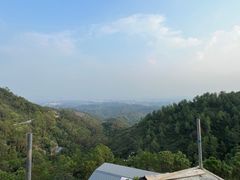 -山景山庄