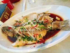清蒸鲈鱼-福来居烤鸭店(天坛二店)
