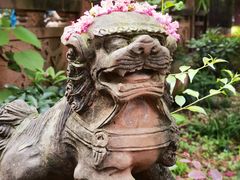 -青羊宫