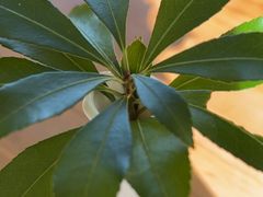 -牛缘村·贵州黄牛肉火锅(西善桥店)