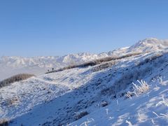 -塞罕坝国家级自然保护区