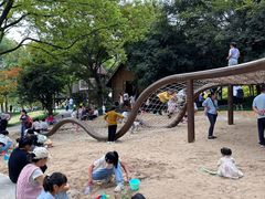 -宁波儿童公园(鄞州区)