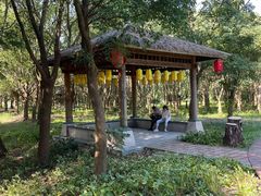 -同里国家湿地公园