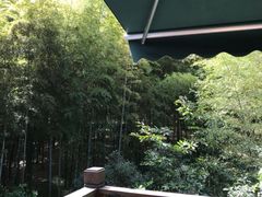 -张鸟园农家乐(张鸟园店)