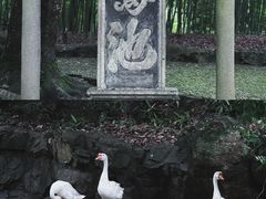 -兰亭风景区