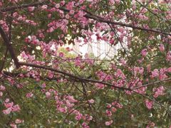 -汉口江滩-五福广场