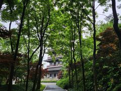 -宜兴龙背山森林公园