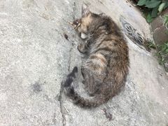 -蟹道河蟹大米商行