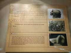 -青海藏文化博物院