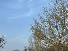 -大明宫国家遗址公园·御道广场