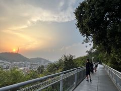 -佛山华盖山公园
