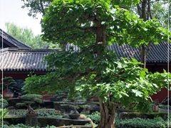 -成都武侯祠博物馆