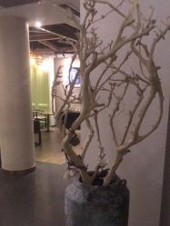 -盘子女人坊古装写真摄影(天津总店)