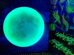 -天津梵高星空艺术馆(天河城旗舰店)