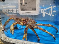 水产区-盒马鲜生(富田新天地店)