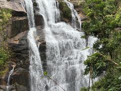 -海南热带雨林国家公园吊罗山景区