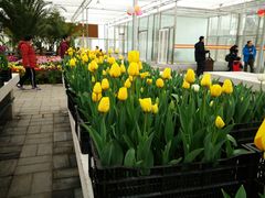 -北京植物园-展览温室