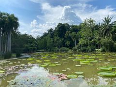 -中国科学院西双版纳热带植物园