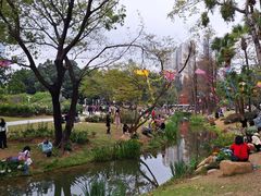 -人民公园(罗湖区)