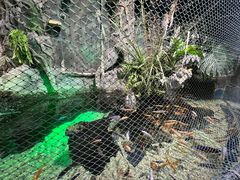 -太平洋海底世界