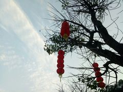 -金鸡山公园