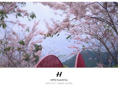 -白石龙音乐公园