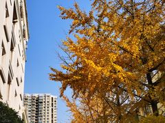 -上海汾阳花园酒店