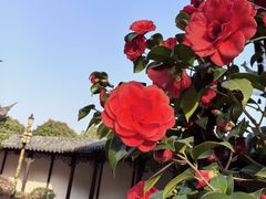-穹窿山景区